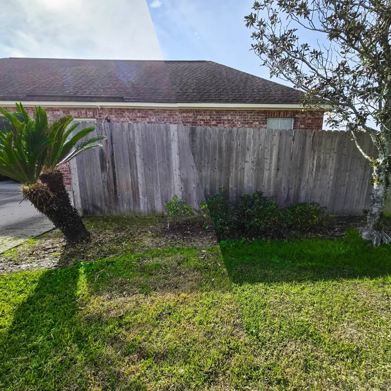 Curbside feature image - Palm Tree and Bushes Landscape Refreshment