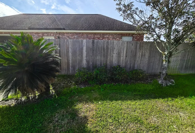Palm Tree and Bushes Landscape Refreshment - before