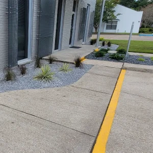 Landscape Design