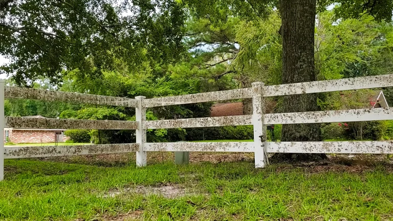 curbside-solutions-projects-white-wooden-fence-cleaning-before